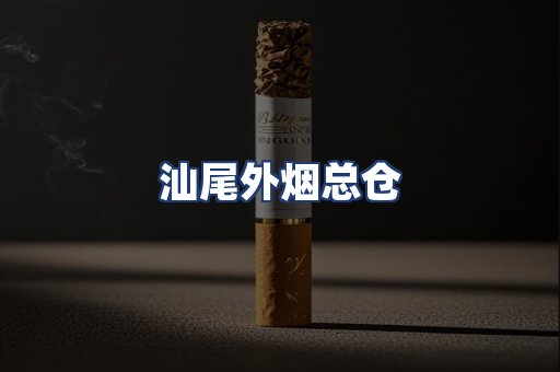 汕尾外烟总仓